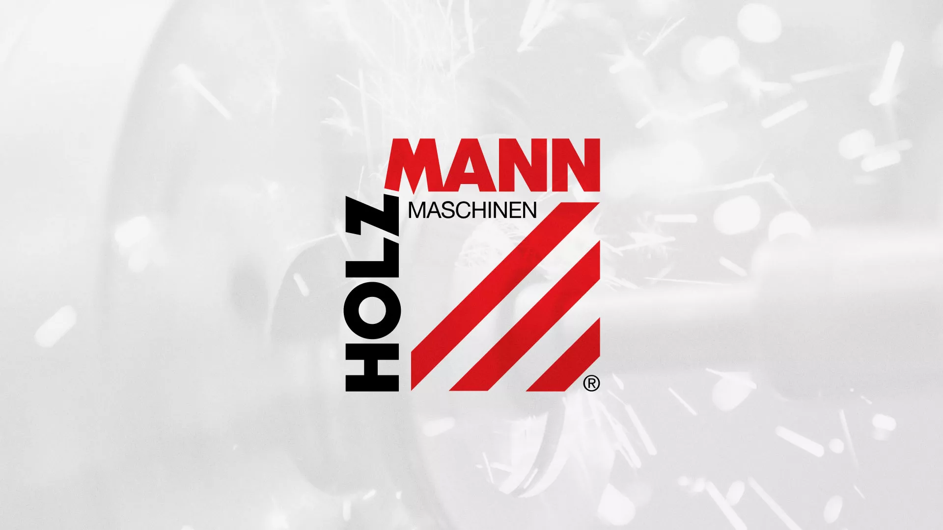 Создание сайта компании «HOLZMANN Maschinen GmbH» в Пудоже